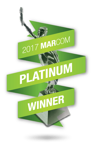 Platinum Website Design Award.png